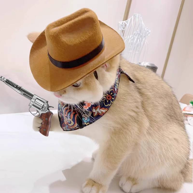    Katze Cowboy Hut Haustier  – Cowboy Hat Straw Bewertung und Preis