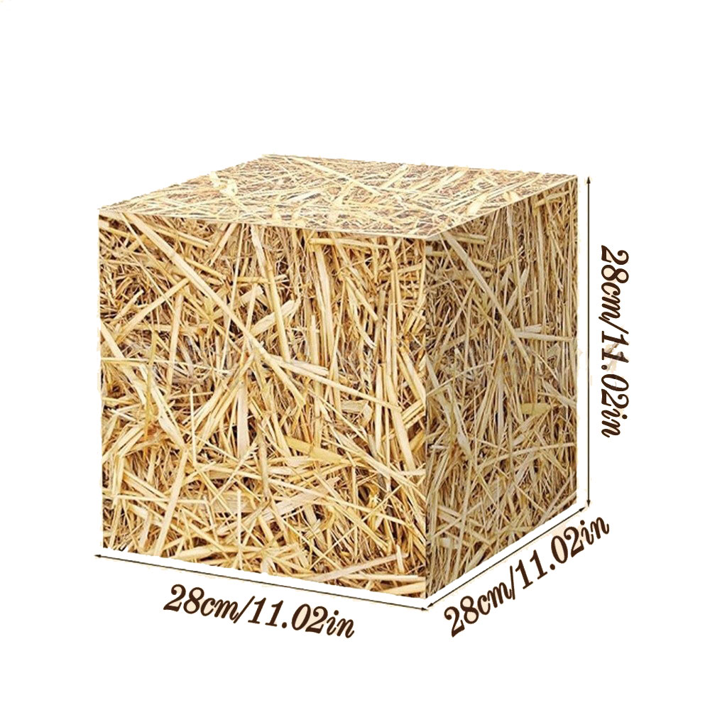 Western Cowboy Geburtstag Part – Cowboy Hat Straw Bewertung und Preis