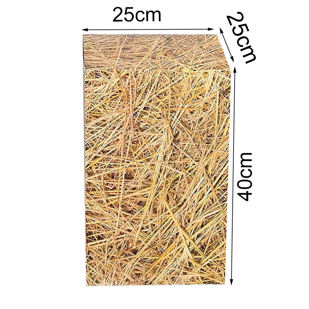 Western Cowboy Geburtstag Part – Cowboy Hat Straw Bewertung und Preis